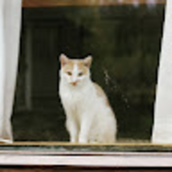 Meet your Posher, Erin - Picture 1 of 1